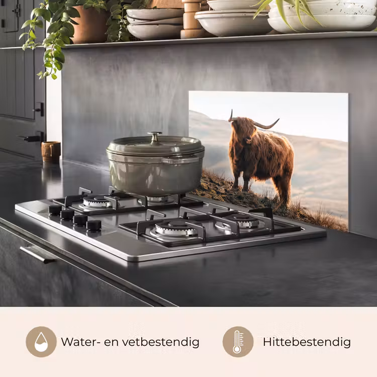 Spatscherm keuken - Schotse hooglander - Dieren - Landelijk - Landschap - Koe - Natuur — 7