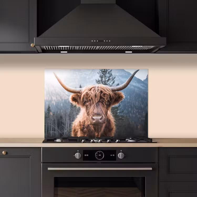 Spatscherm keuken - Schotse hooglander - Koe - Dieren - Berg - Natuur — 2