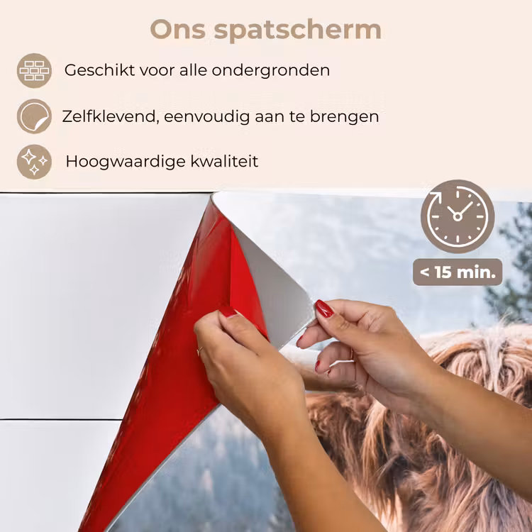 Spatscherm keuken - Schotse hooglander - Koe - Dieren - Berg - Natuur — 4