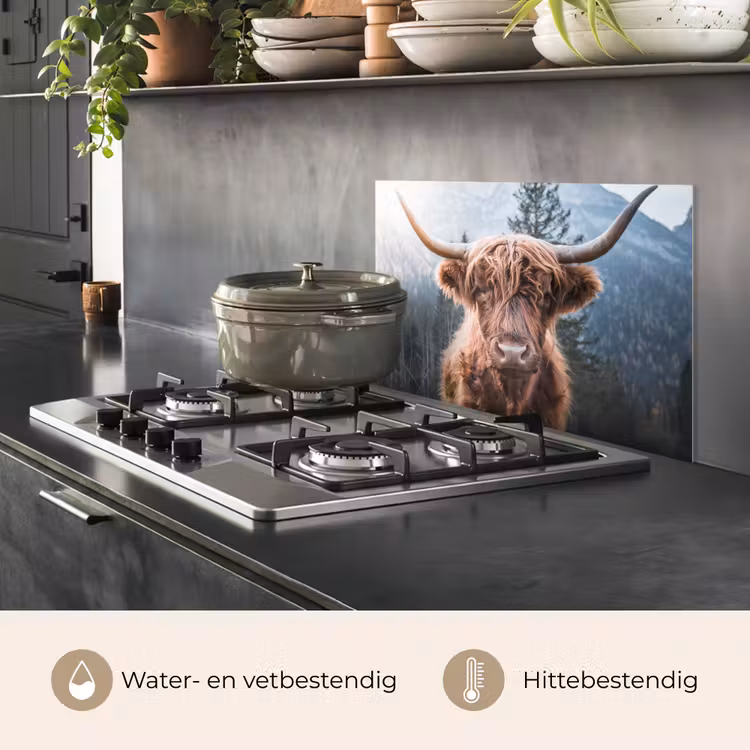 Spatscherm keuken - Schotse hooglander - Koe - Dieren - Berg - Natuur — 7