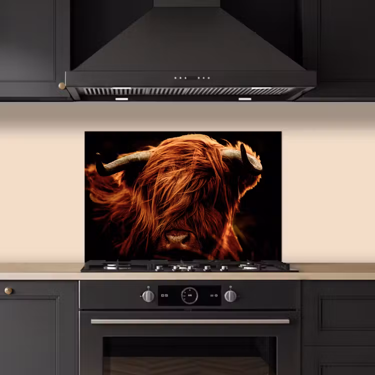 Spatscherm keuken - Schotse hooglander - Koe - Hoorns - Portret - Dieren — 2