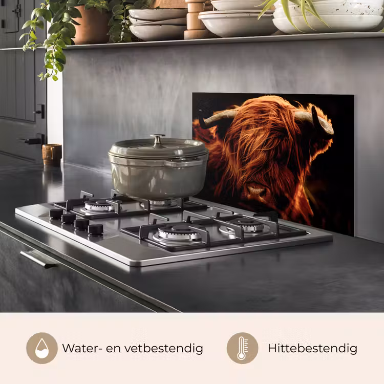 Spatscherm keuken - Schotse hooglander - Koe - Hoorns - Portret - Dieren — 7