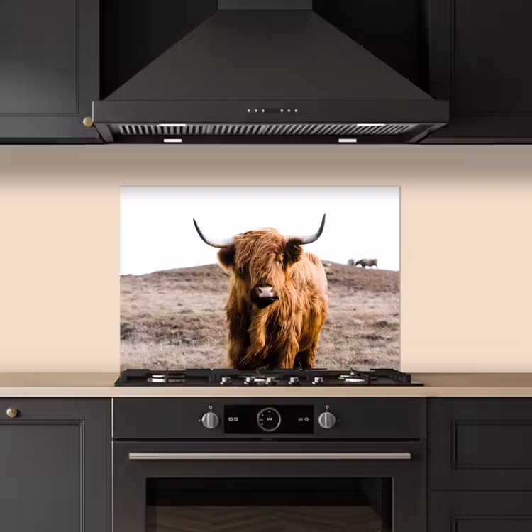 Spatscherm keuken - Schotse hooglander - Landschap - Koe - Bruin - Dieren - Natuur — 2