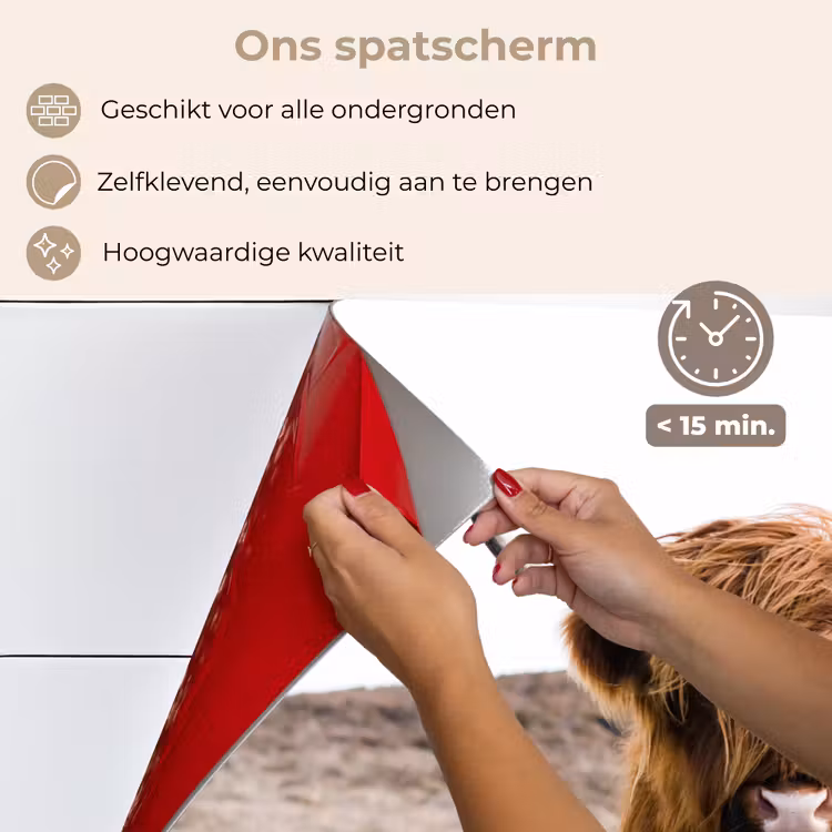 Spatscherm keuken - Schotse hooglander - Landschap - Koe - Bruin - Dieren - Natuur — 4