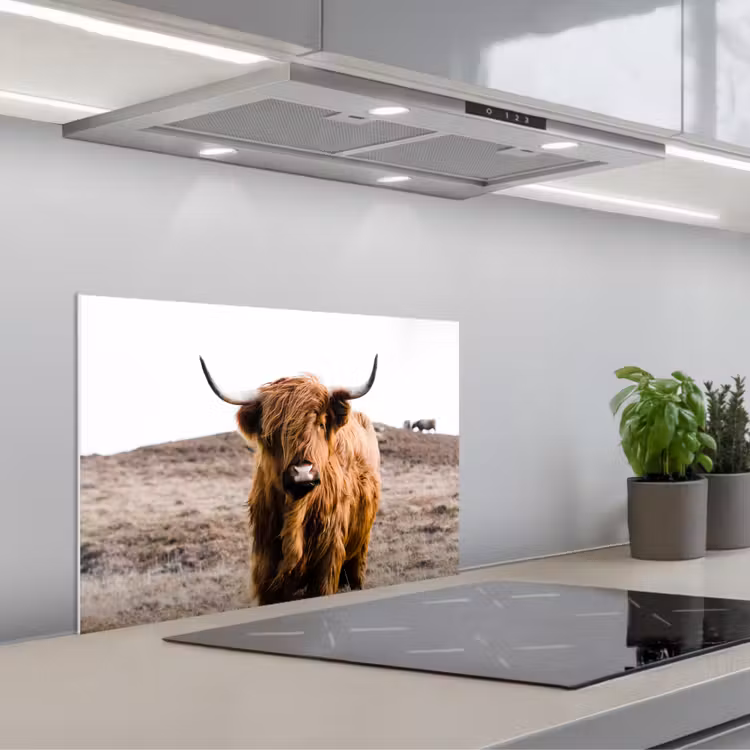 Spatscherm keuken - Schotse hooglander - Landschap - Koe - Bruin - Dieren - Natuur — 5