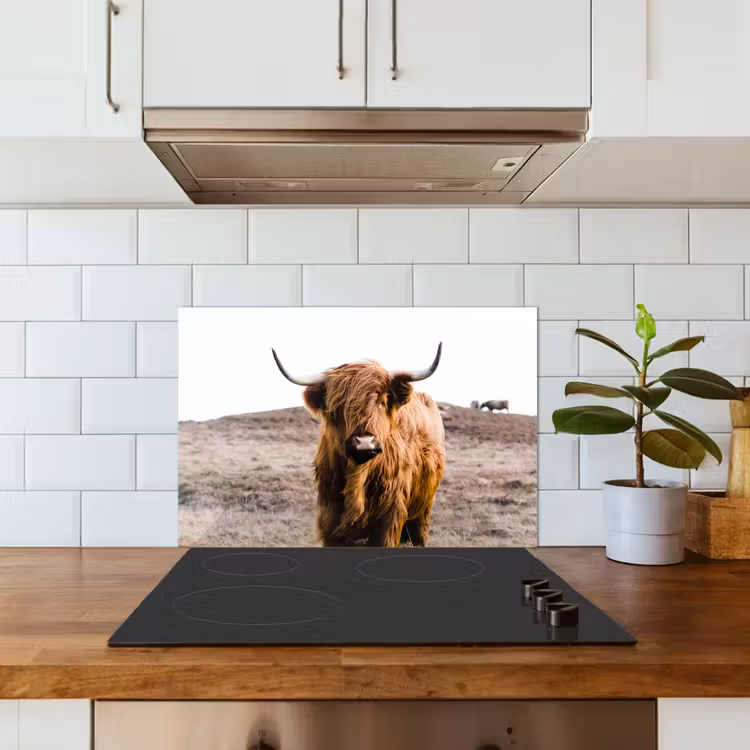 Spatscherm keuken - Schotse hooglander - Landschap - Koe - Bruin - Dieren - Natuur — 6