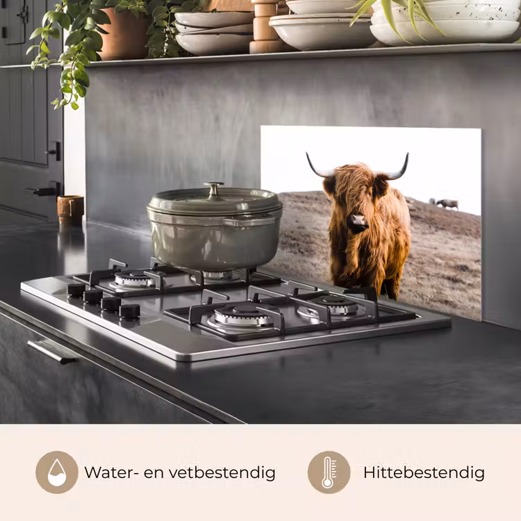 Spatscherm keuken - Schotse hooglander - Landschap - Koe - Bruin - Dieren - Natuur — 7