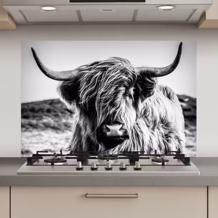 Spatscherm keuken - Schotse hooglander - Natuur - Koe - Zwart - Wit — 1
