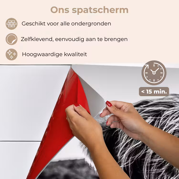 Spatscherm keuken - Schotse hooglander - Natuur - Koe - Zwart - Wit — 4