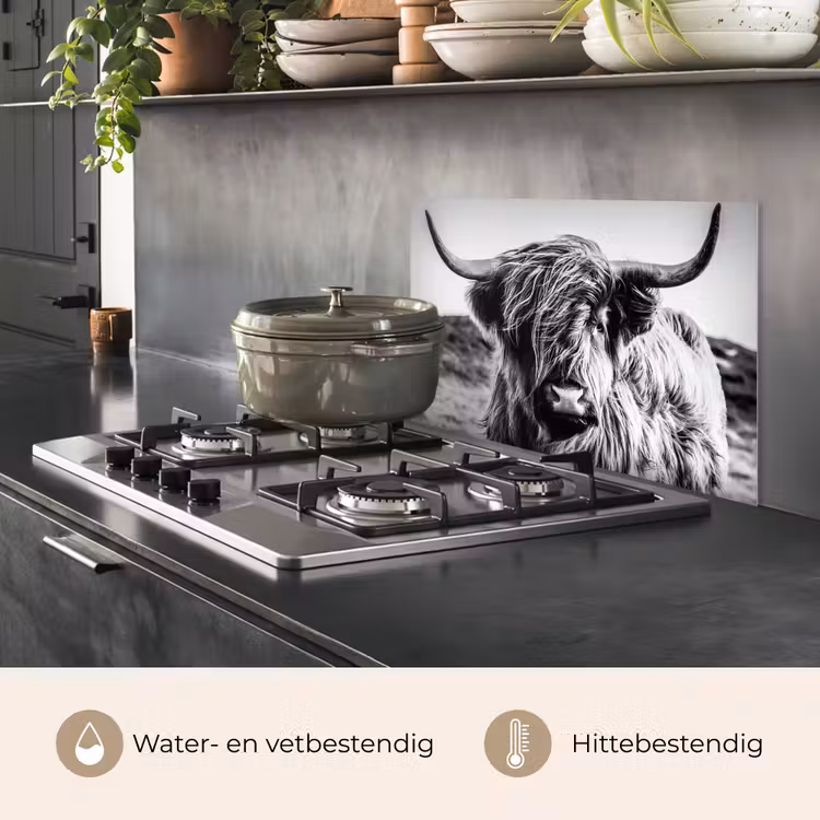 Spatscherm keuken - Schotse hooglander - Natuur - Koe - Zwart - Wit — 7