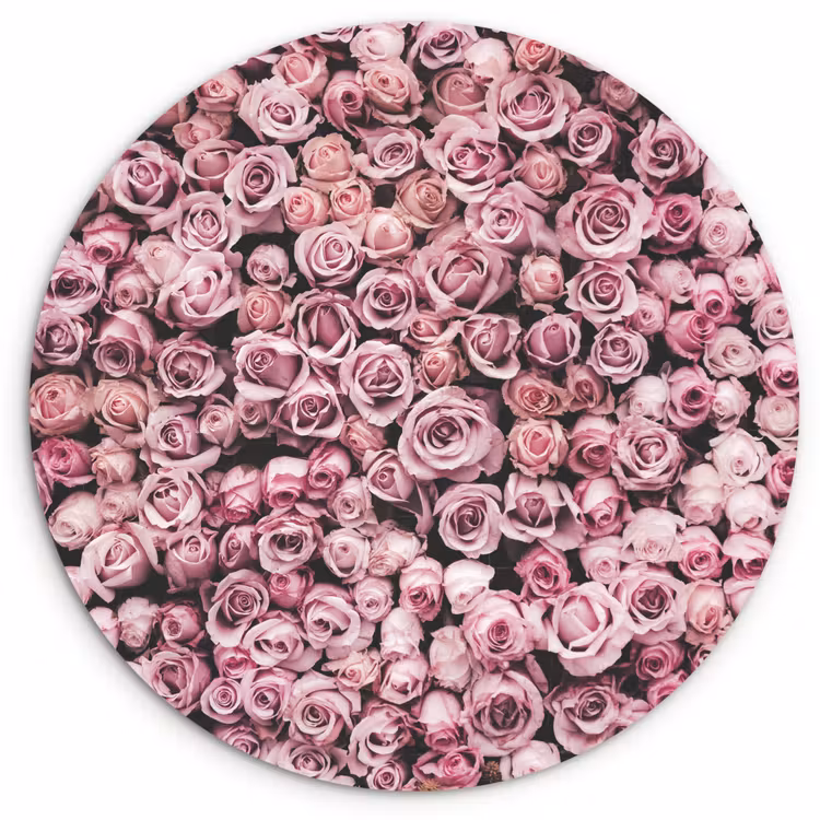 Muurcirkel - Bloemen - Rozen - Natuur - Roze - Botanisch — 1