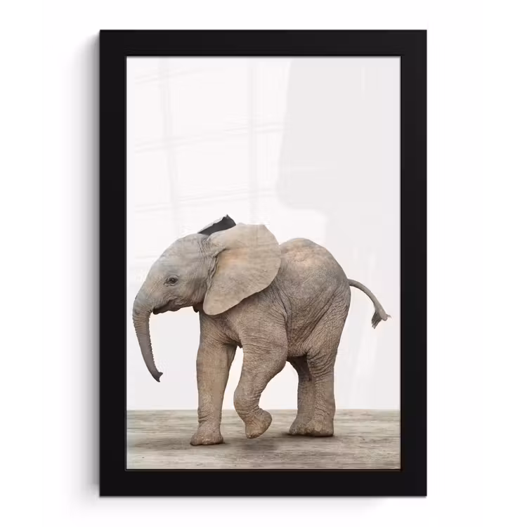 Poster met lijst - Baby olifant - Dieren - Olifant - Kinderen - Meiden - Jongens — 1
