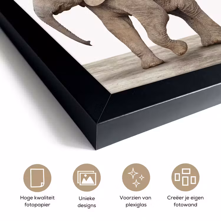 Poster met lijst - Baby olifant - Dieren - Olifant - Kinderen - Meiden - Jongens — 6