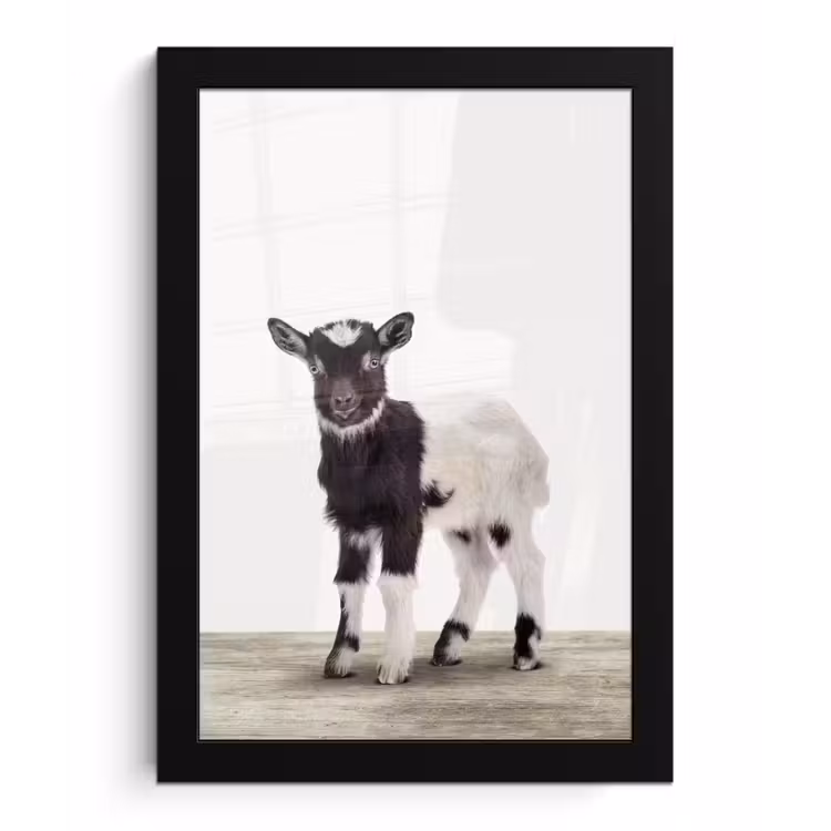 Poster met lijst - Geit - Dieren - Kinderen - Jongens - Meisjes — 1
