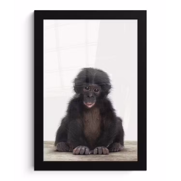 Poster met lijst - Kind - Aap - Chimpansee - Baby dieren - Jongens - Meiden — 1