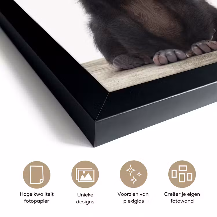 Poster met lijst - Kind - Aap - Chimpansee - Baby dieren - Jongens - Meiden — 6