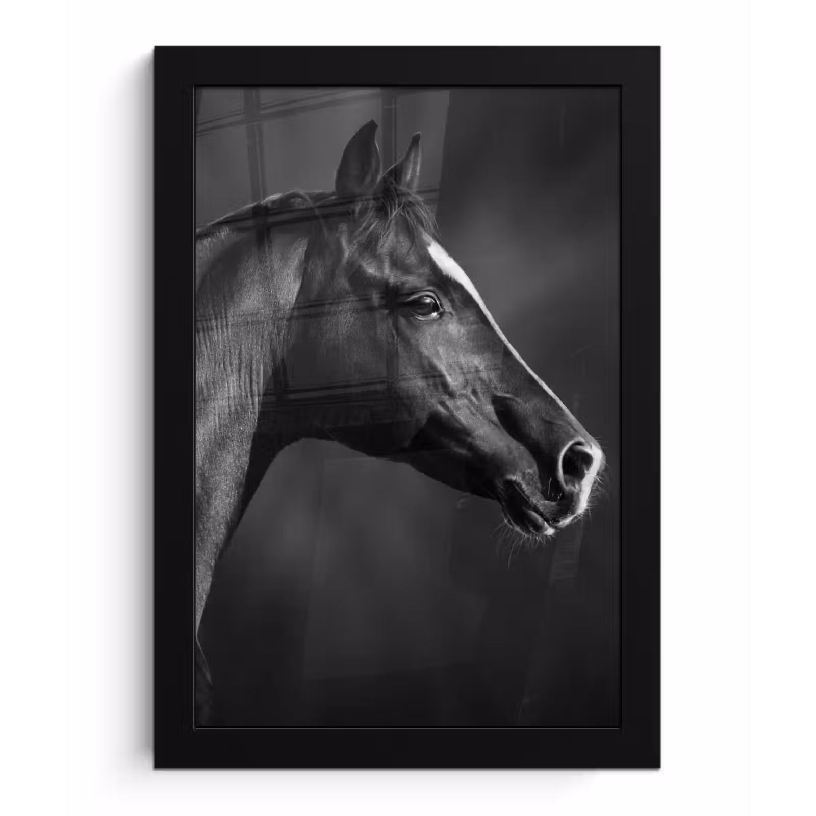 Poster met lijst - Paard - Dieren - Zwart - Wit - Portret — 1