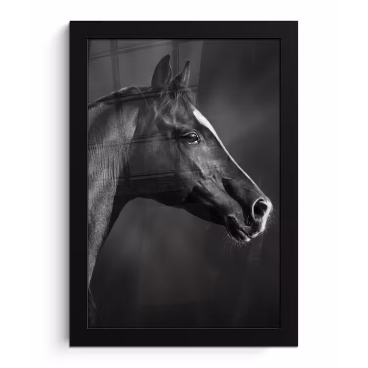 Poster met lijst - Paard - Dieren - Zwart - Wit - Portret — 1