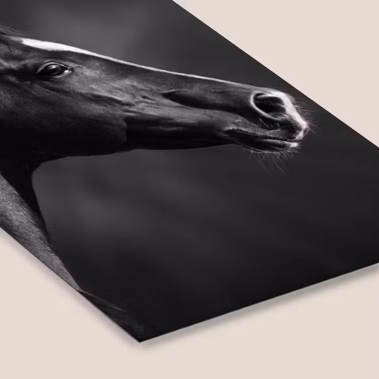 Poster met lijst - Paard - Dieren - Zwart - Wit - Portret — 7