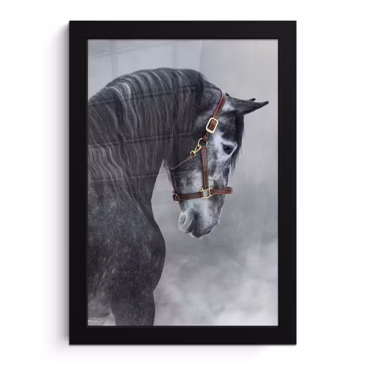 Poster met lijst - Paard - Grijs - Bruin - Dieren - Rook — 1