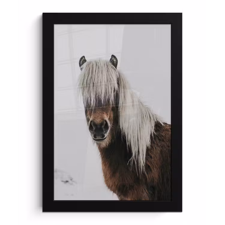 Poster met lijst - Paarden - Dieren - Portret - Bruin - Wit — 1