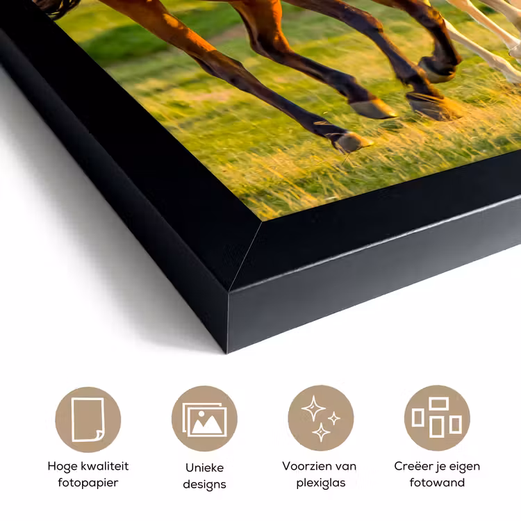 Poster met lijst - Paarden - Gras - Dieren - Landschap - Natuur — 6