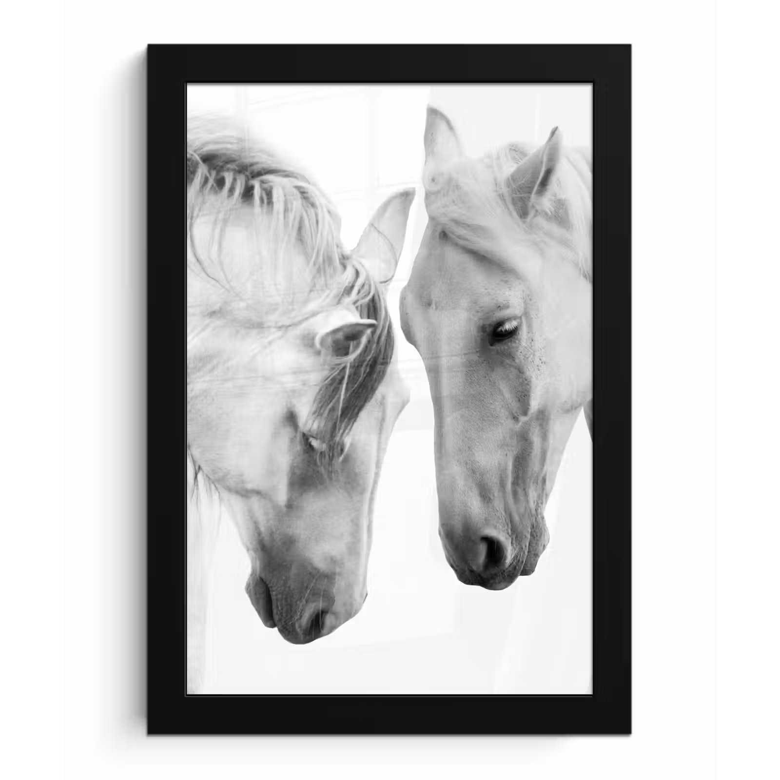 Poster met lijst - Paard - Dieren - Portret - Wit — 1