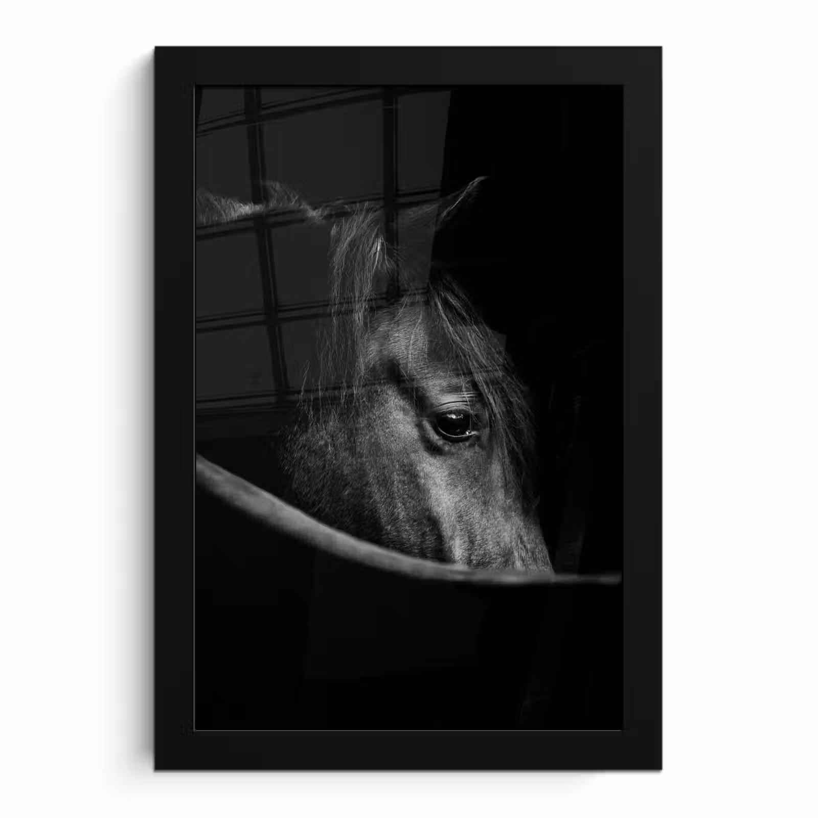 Poster met lijst - Paarden - Portret - Zwart - Dieren — 1