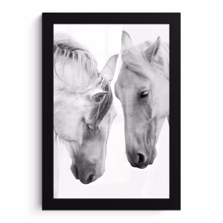 Poster met lijst - Paard - Dieren - Portret - Wit — 1