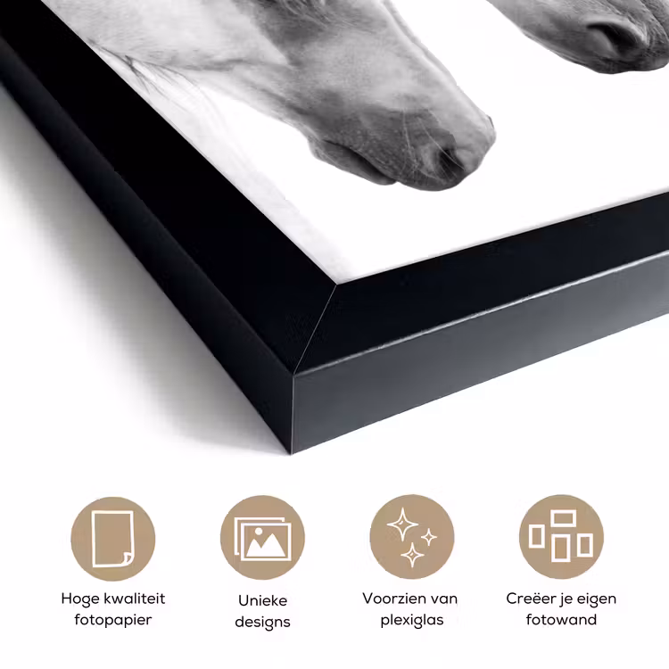 Poster met lijst - Paard - Dieren - Portret - Wit — 6