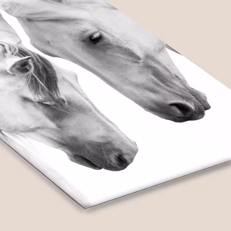 Poster met lijst - Paard - Dieren - Portret - Wit — 7