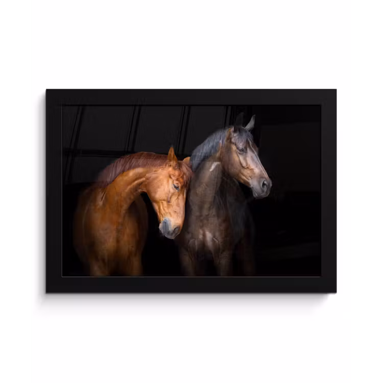 Poster met lijst - Paarden - Dieren - Portret - Bruin — 1