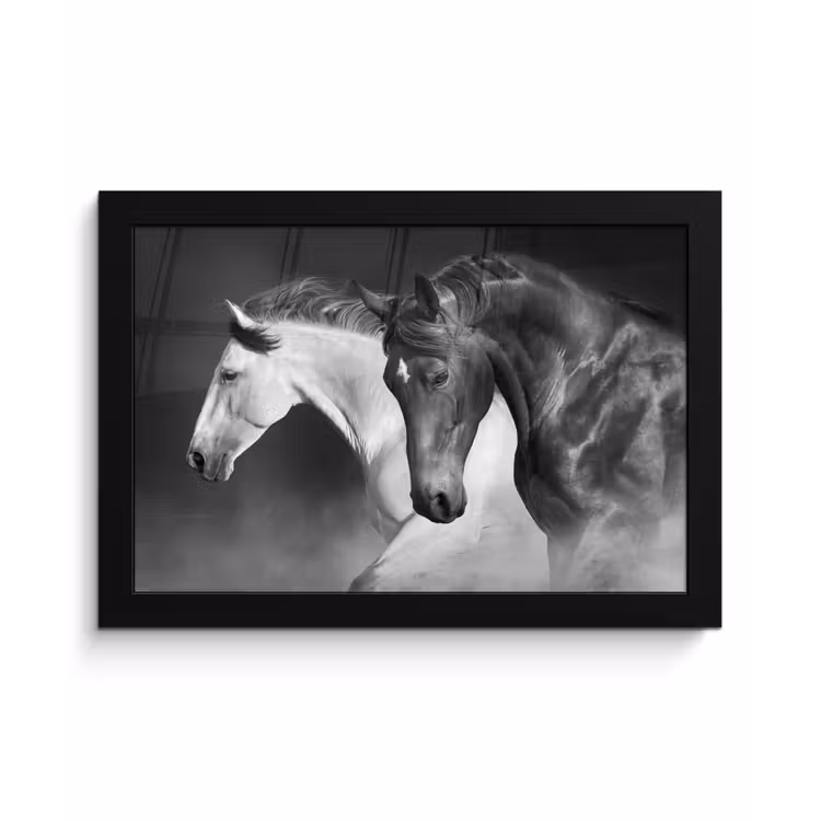 Poster met lijst - Paarden - Dieren - Zwart - Wit - Portret — 1
