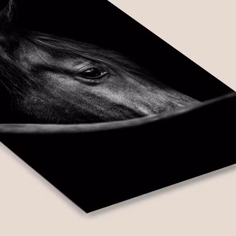 Poster met lijst - Paarden - Portret - Zwart - Dieren — 7