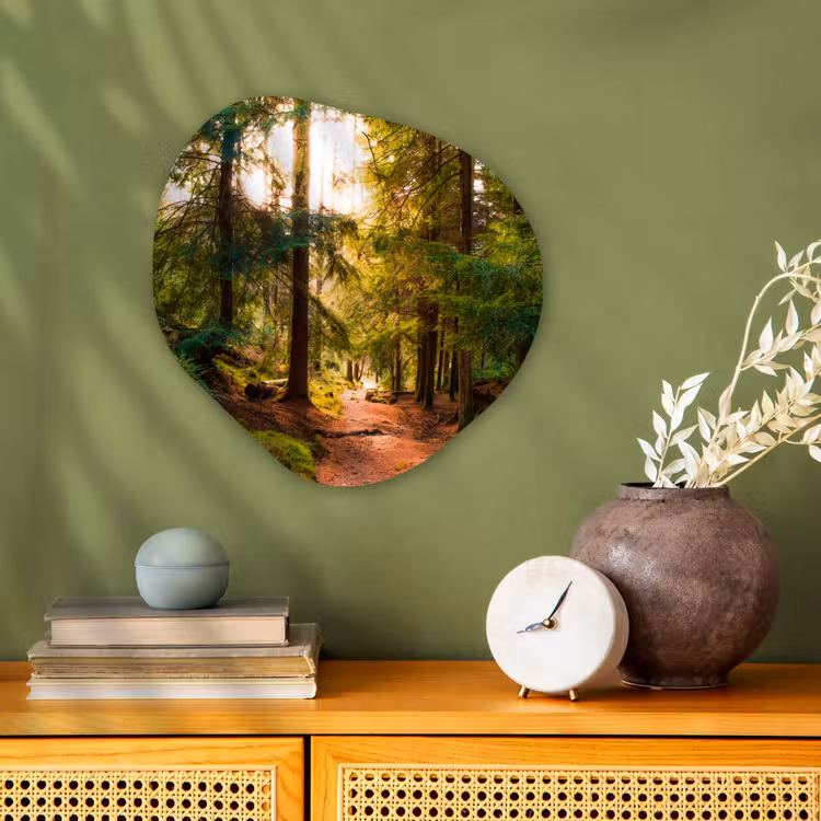 Organische Formen – Aluminium – Bos - Pad - Bomen - Groen - Zon - Natuur — 2