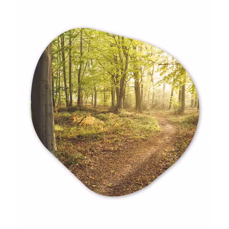 Organische Formen – Aluminium – Bos - Pad - Zonsopgang — 1