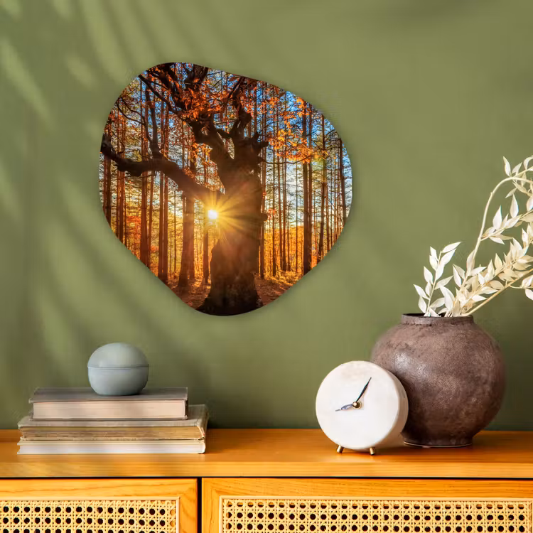 Organische Formen – Aluminium – Herfst - Zon - Boom — 2