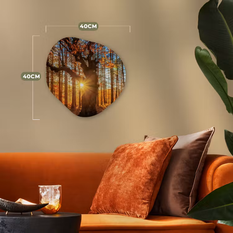 Organische Formen – Aluminium – Herfst - Zon - Boom — 4