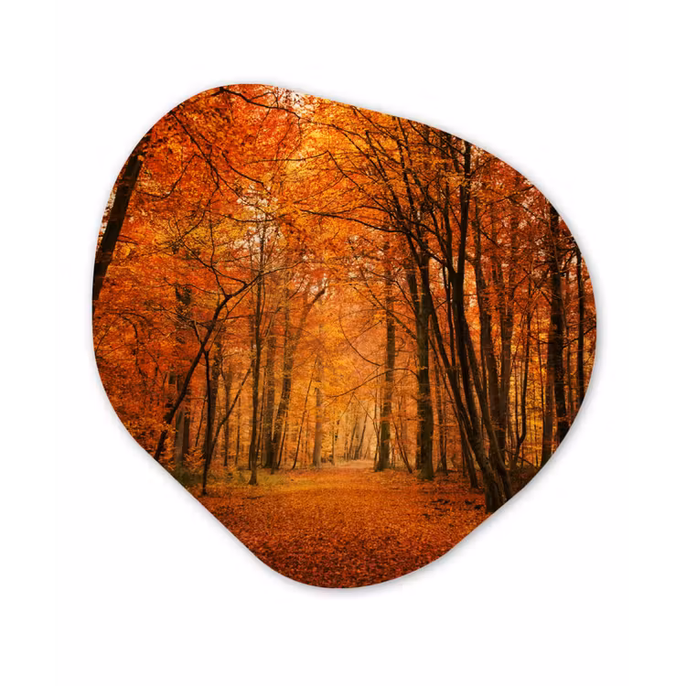 Organische Formen – Aluminium – Herfst - Rood - Bos — 1
