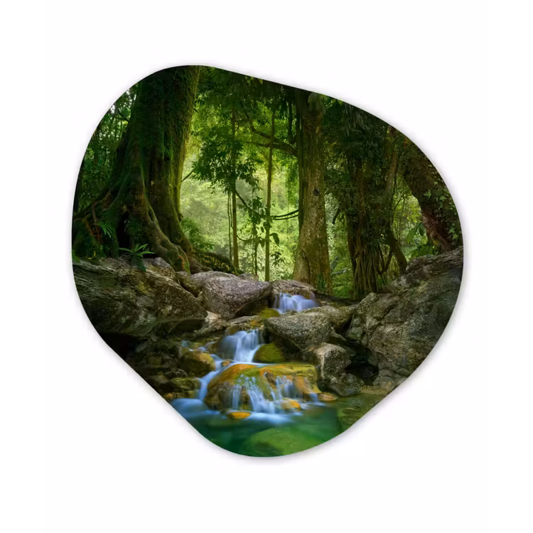 Organische Formen – Aluminium – Jungle - Stenen - Water - Natuur - Planten — 1