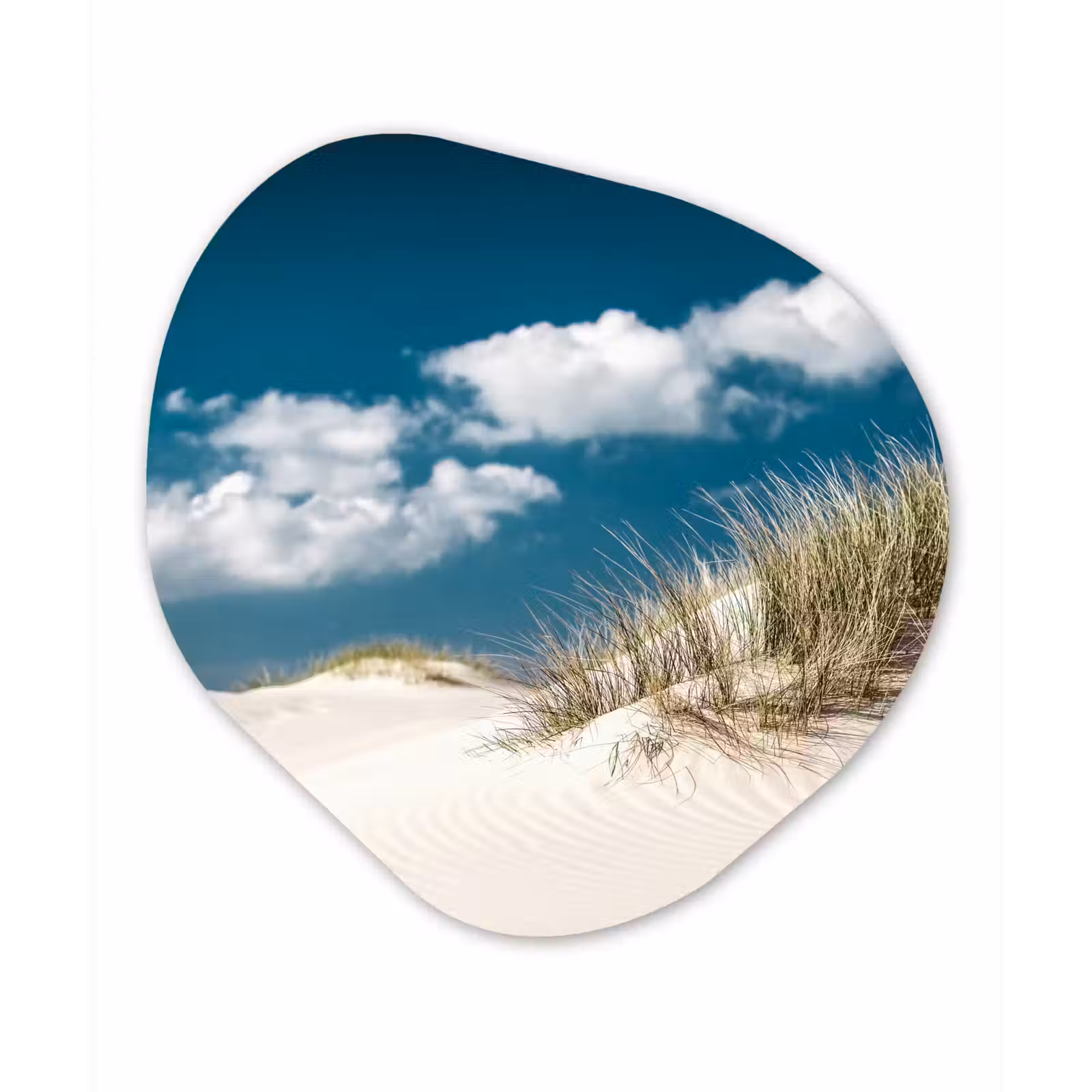 Organische Formen – Aluminium – Strand - Duinen - Gras — 1