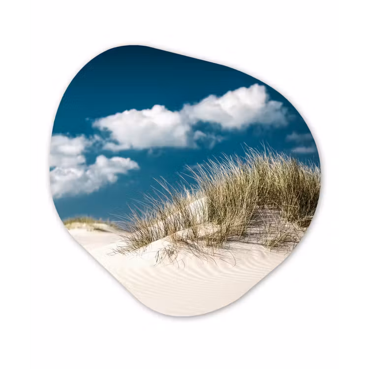 Organische Formen – Aluminium – Grashalmen groeien op de witte zandduinen — 1