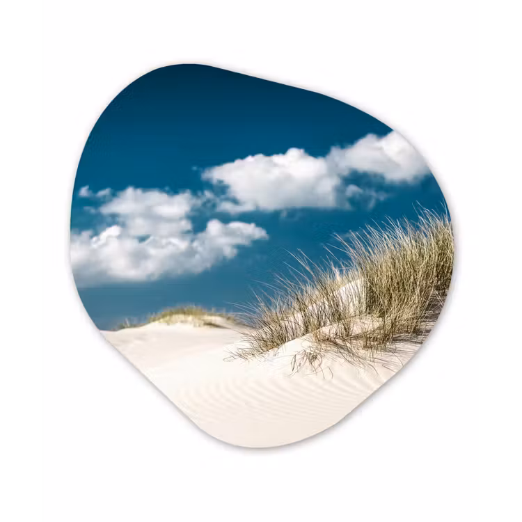 Organische Formen – Aluminium – Strand - Duinen - Gras — 1