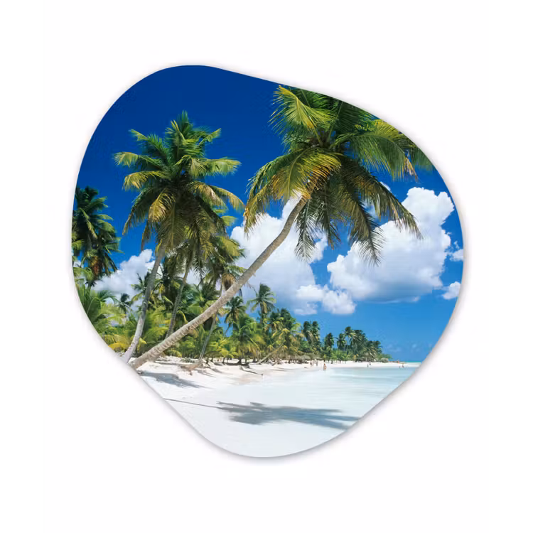 Organische Formen – Aluminium – Strand - Palmboom - Tropisch — 1