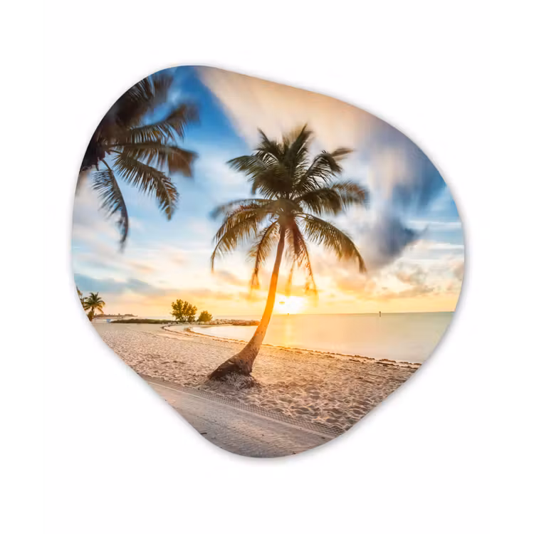 Organische Formen – Aluminium – Zonsondergang - Strand - Palmboom — 1