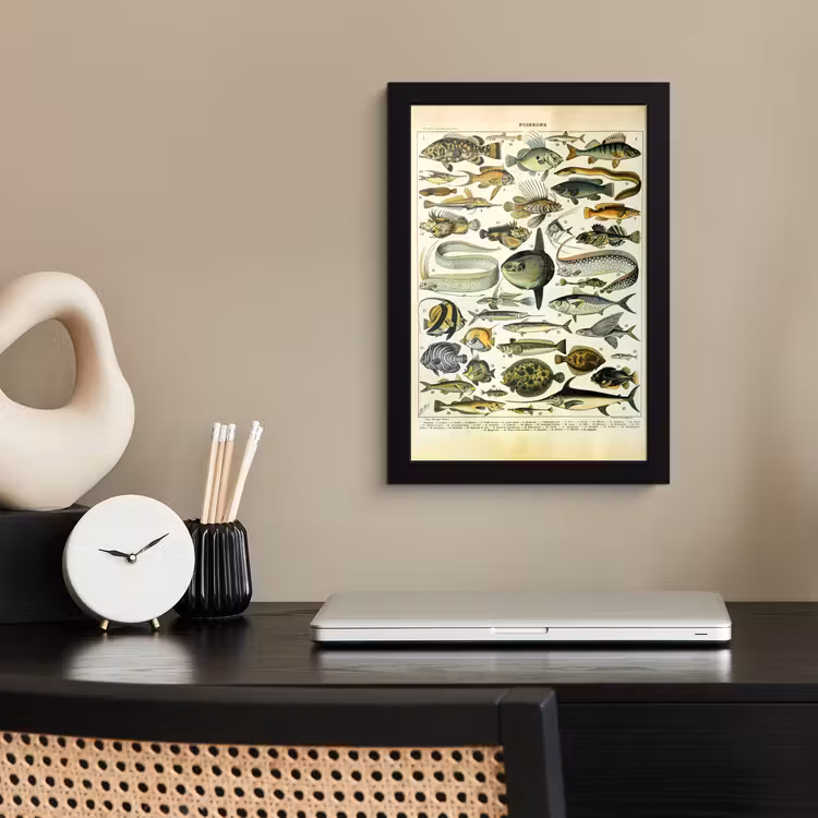 Poster met lijst - Adolphe Millot - Kunst - Vintage - Vissen - Dieren — 2