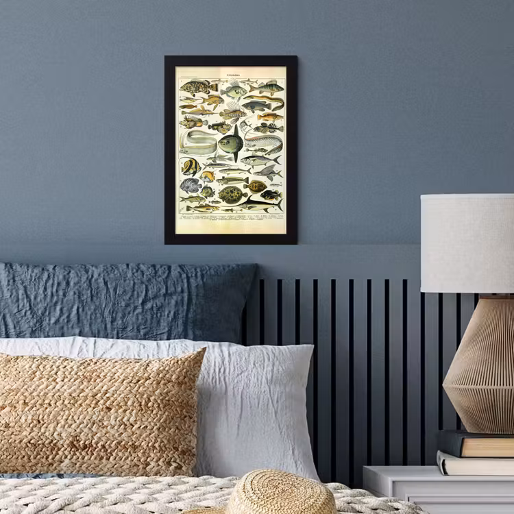 Poster met lijst - Adolphe Millot - Kunst - Vintage - Vissen - Dieren — 3