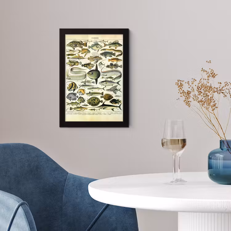 Poster met lijst - Adolphe Millot - Kunst - Vintage - Vissen - Dieren — 4