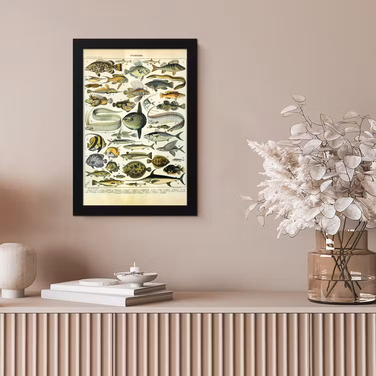 Poster met lijst - Adolphe Millot - Kunst - Vintage - Vissen - Dieren — 5