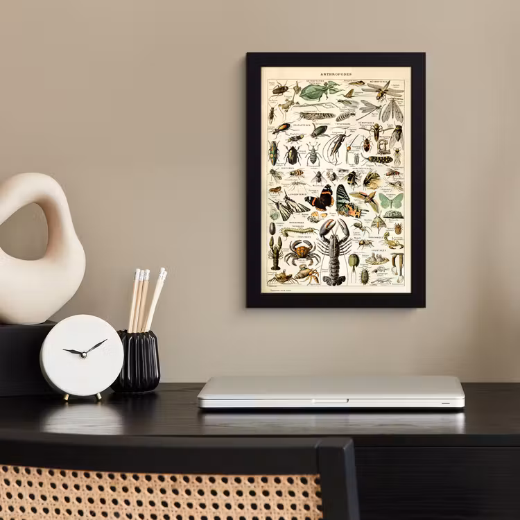 Poster met lijst - Dieren - Adolphe Millot - Vintage - Insecten - Kunst — 2